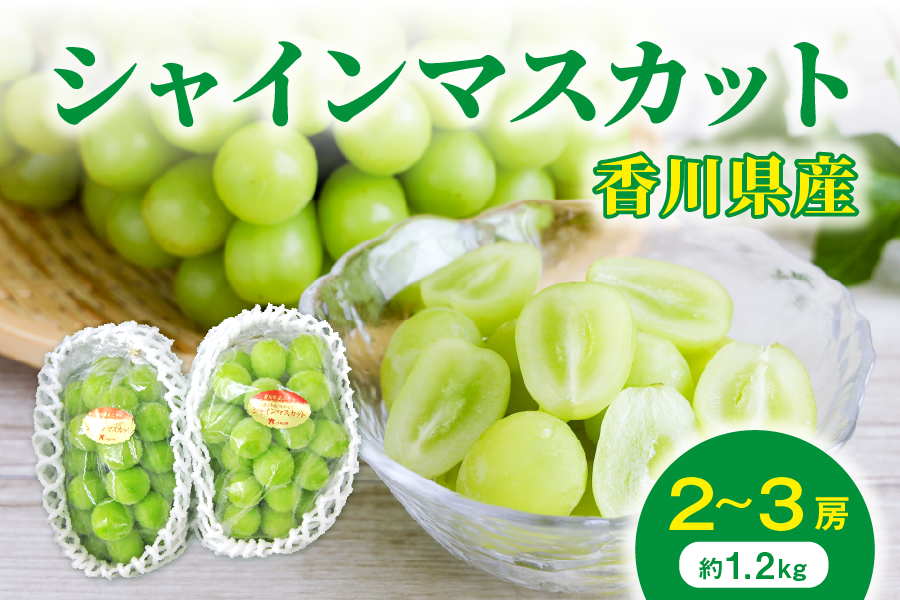 香川県産シャインマスカット約1.2㎏（2～3房）: JAギフトセンターか