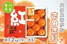 お中元】ハウスさぬき紅みかん(香川県産）約1.2㎏ 数量限定: JA