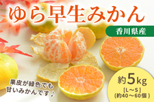 쌧Y@瑁݂@5s