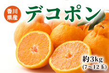 ���쌧�Y�@�f�R�|���@��3�s�i7�`12�ʁj