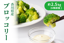 ���쌧�Y�@�u���b�R���[�@��2.5�s�i6���O��j