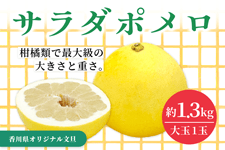 �y�ǉ��̔��z���쌧�Y�@���啶�U�i�T���_�|�����j��1.3�s�i���1�ʁj