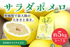 �y�ǉ��̔��z���쌧�Y�@���啶�U�i�T���_�|�����j��5�s�i3�`7�ʁj