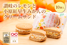 �]��̃������Ə����g�����݂���̃N���[���T���h10��