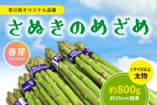 �A�X�p�������iL�T�C�Y�ȏ�j�w���ʂ��̂߂��߁i�t��j�x��800g