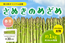 �A�X�p�������iL�T�C�Y�ȏ�j�w���ʂ��̂߂��߁i�t��j�x�Z�~�����O�E��1�s