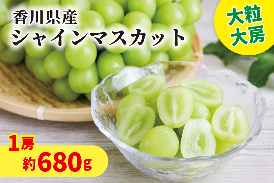 香川県産シャインマスカット（1房 約680g）: JAギフトセンターかがわ
