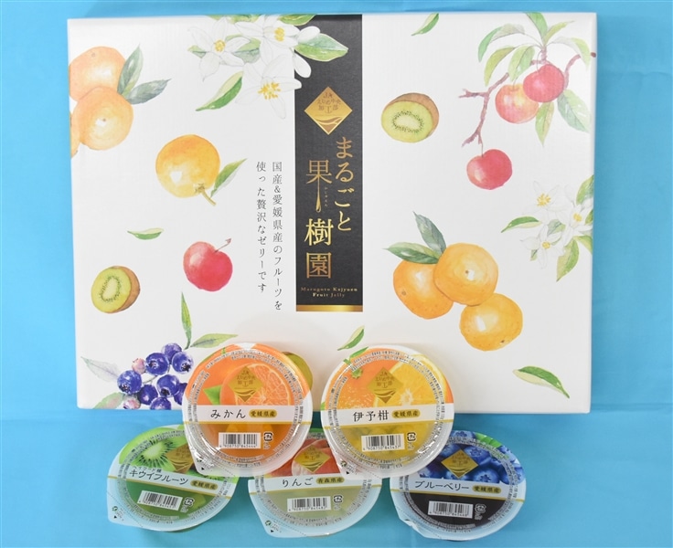 インポートブランドセット売り　3点　まとめ　卸 お中元】 「まるごと果樹園ゼリーセット」（120g×5種計12個入り