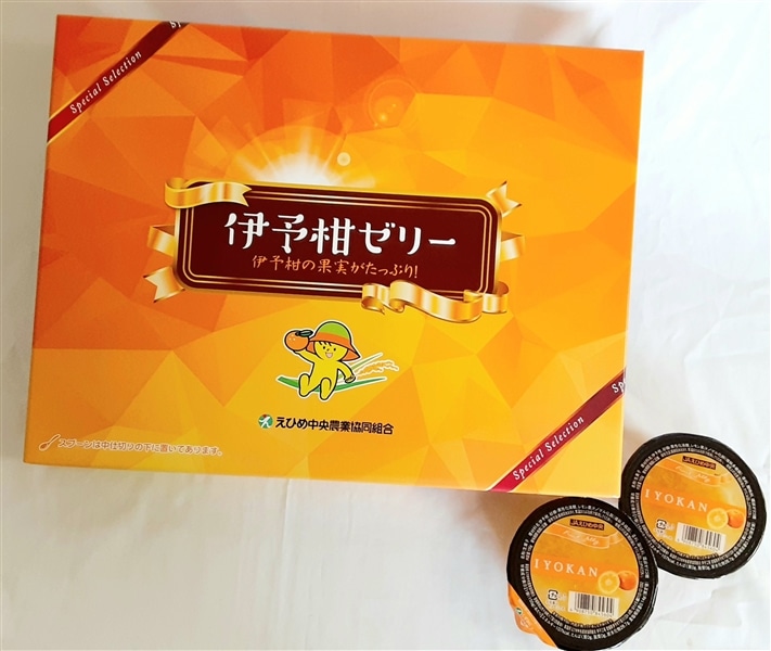 わけあり品】「伊予柑ゼリーセット」155g×12個 ～JAえひめ中央