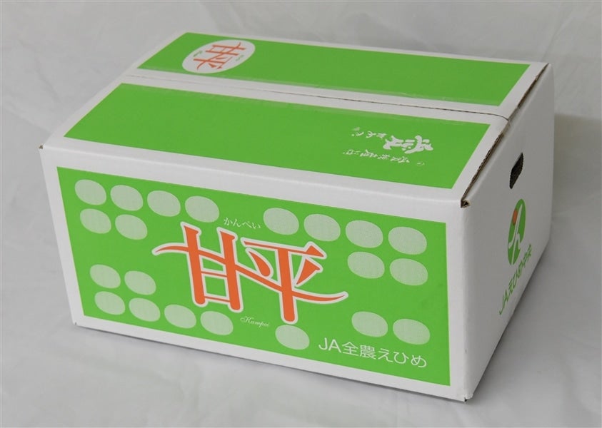 甘平」約5kg（青秀L～5L）JAえひめ中央（中島選果場）☆当