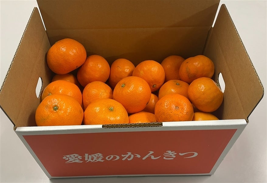 実取美津子様　ご希望商品 VIPボックス赤 フリーズドライあまおうセット (12g×4袋)