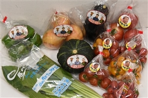 鎌田農園 おまかせ野菜セット: JA全農えひめ直販ショップ|【JA