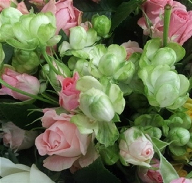 スプレーバラ花束　１０本　ＪＡ東予園芸