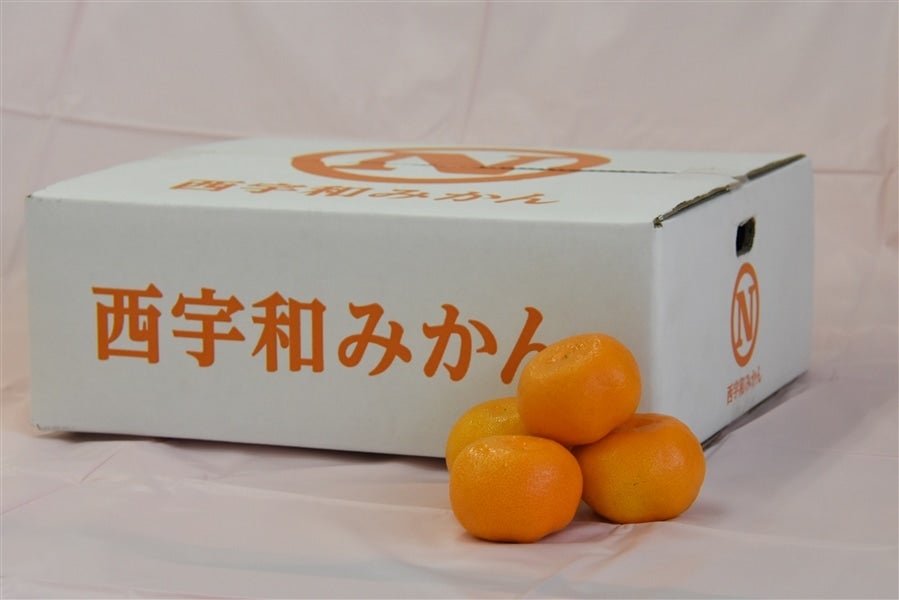 西宇和大玉みかん 約４ｋｇ（良２L）ＪＡにしうわ★ＪＡタウン限定★　＊年内発送＊