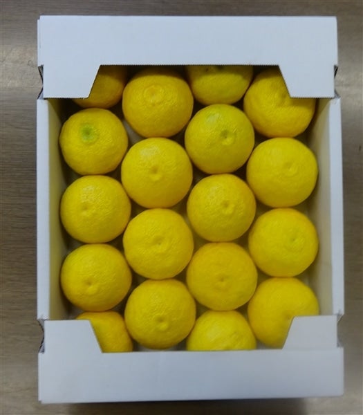 柚子さま専用　リピート割引　おまとめ割引 送料無料 旭フレッシュ ゆず満載セット（5本）（26400532