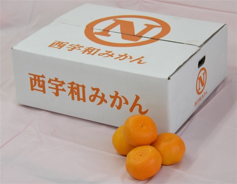 西宇和大玉みかん 約4kg（良2L）JAにしうわ ＊随時発送中: JA