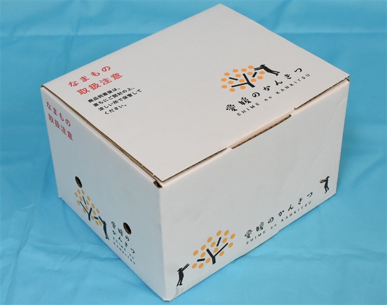 小玉12】キウイフルーツ「紅妃（こうひ）」約1.2kg小玉（2S～S