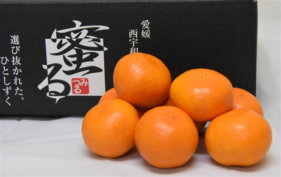 産地直送 通販 お取り寄せ「蜜るみかん」約４ｋｇ（特秀Ｓ～Ｌ）☆ＪＡにしうわみつる共選特選みかん☆  【発送期間限定】11月20日から11月30日の間に発送予定: ＪＡ全農えひめ直販ショップ|ＪＡタウン