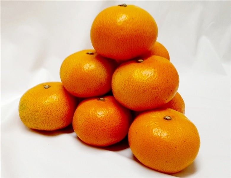 愛媛県産「はつひめ」 約3.5 （2L～M） ☆JA全農えひめ
