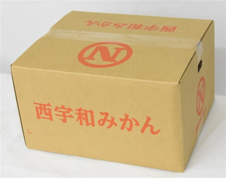 西宇和大玉みかん 約9kg（良2L）JAにしうわ ＊随時発送中: JA