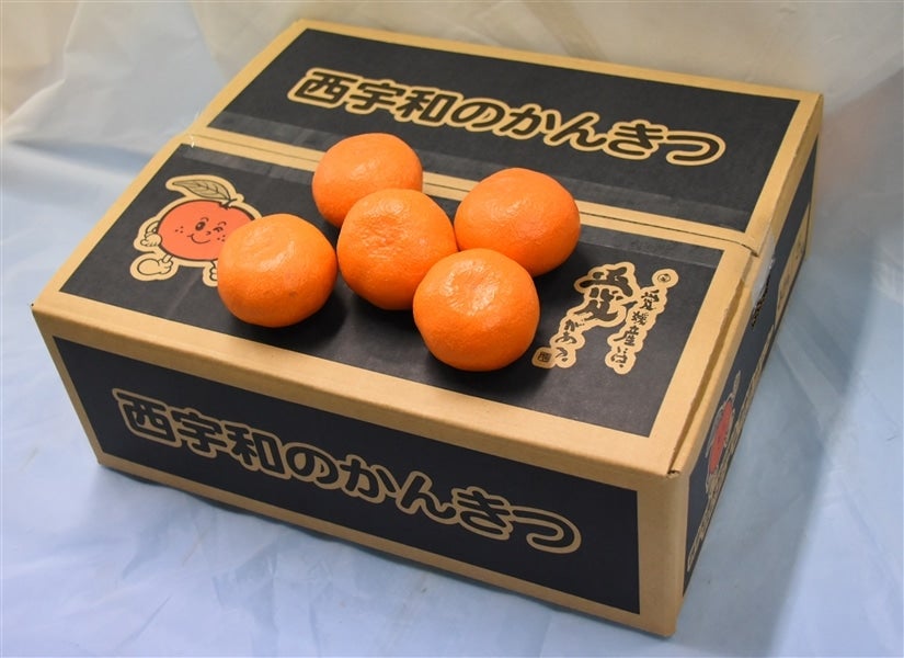 みかんさま、２点同梱ジャケット みかん様 みかん10個 みかん様 ミカン様 ミカン様 蜜柑様 レビュー】ZX