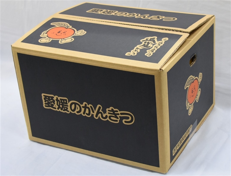 お中元・贈答8K】贈答用「河内晩柑」約8kg（L～3Lサイズ