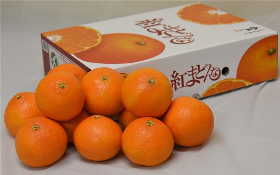 産地直送 通販 お取り寄せ【2ケースセット】 紅まどんな （L１５玉～４L８玉化粧箱・ご贈答用 にも最適）JAえひめ中央【発送期間限定】12月15日～12月17日の間に発送予定: ＪＡ全農えひめ直販ショップ|ＪＡタウン