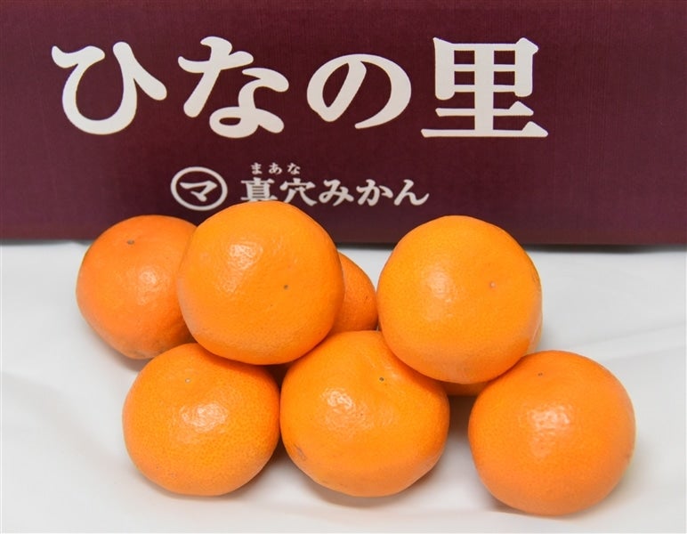 産地直送 通販 お取り寄せ【お歳暮】「ひなの里」約５ｋｇ（特秀Ｓ～Ｌ） ☆ＪＡにしうわ真穴共選特秀品☆【発送期間限定】12月1日～12月10日の間に 発送予定: ＪＡ全農えひめ直販ショップ|ＪＡタウン