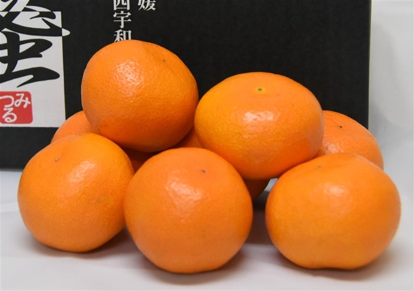 産地直送 通販 お取り寄せ「蜜るみかん」約４ｋｇ（特秀Ｓ～Ｌ）☆ＪＡにしうわみつる共選特選みかん☆  【発送期間限定】11月20日から11月30日の間に発送予定: ＪＡ全農えひめ直販ショップ|ＪＡタウン