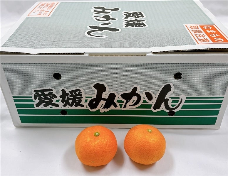 ご家庭用】愛媛県産みかん約2．5kg（2S～S混合）【発送期間限定