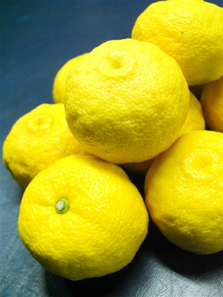 秀・1箱＞「柚子」約2kg（秀L18玉前後） JAひがしうわ