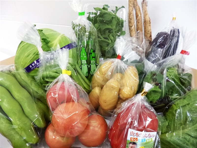 周ちゃん広場 『山本グループ野菜セット』 （愛媛県産）: JA全農