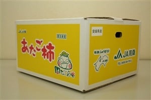 渋抜きしています　No.26　愛宕柿　しぶ抜き　大きめ　約１０ｋｇ　丹原　愛媛県