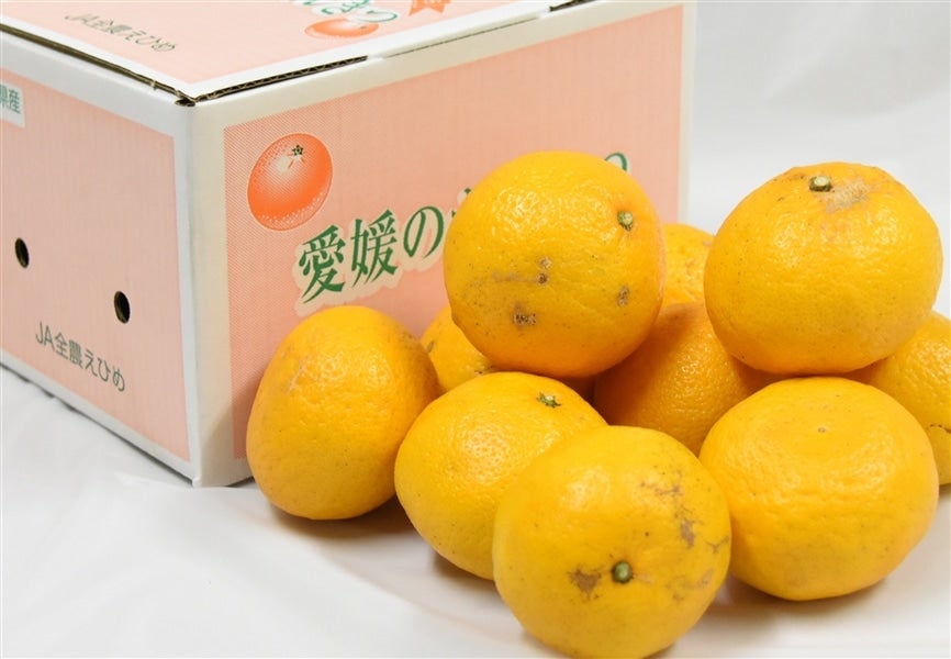 ひめのつき」ご家庭用 約2kg(良以上S～2L混合）☆愛媛オリジナル