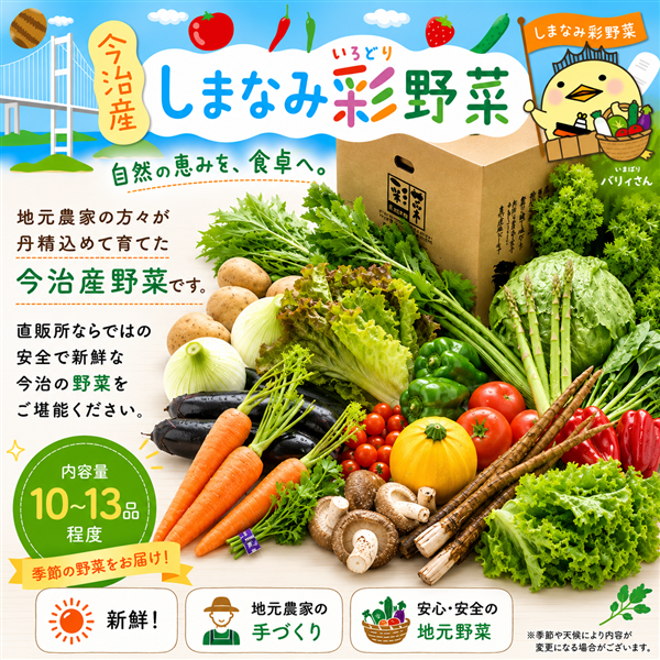 4/17発送 野菜セット さいさいきて屋「しまなみ彩野菜セット」10～13品目 今治市産 ＊クール