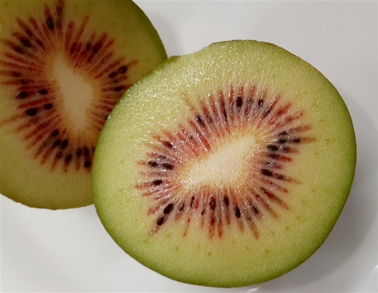 �Ԃ��L�E�C�t���[�c�u���b�h�L�E�C�v