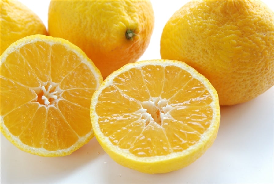 ケン　おまとめ割引　甘平3キロ媛小春3キロ ケン おまとめ割引 甘平3キロ媛小春3キロ ケン おまとめ割引