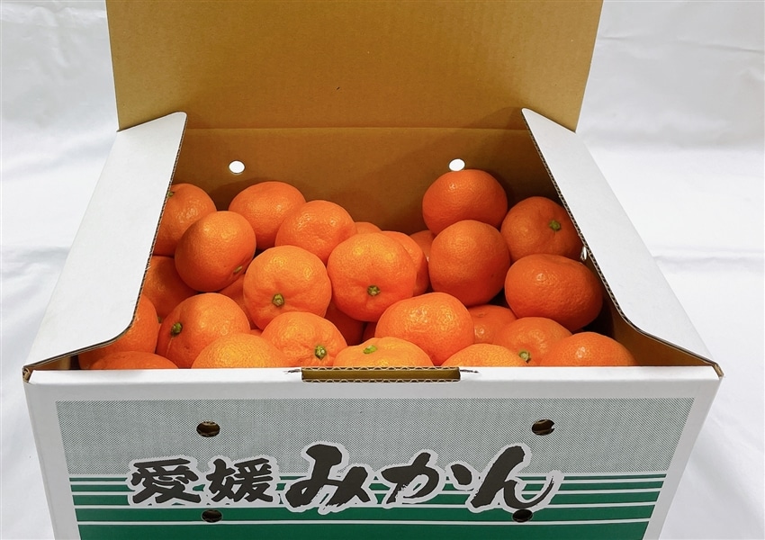 ご家庭用】愛媛県産みかん約2．5kg（2S～S混合）【発送期間限定
