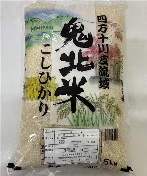 お中元】 鬼北（きほく）米「こしひかり」5kg ☆令和7年産米 