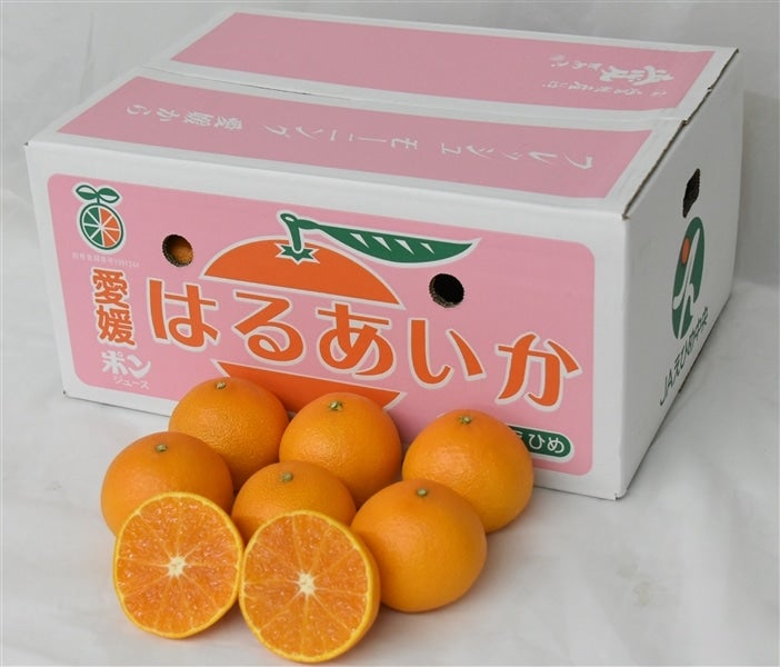 はるあいか」（愛媛果試第48号）約5kg（M～3L）JAえひめ中央