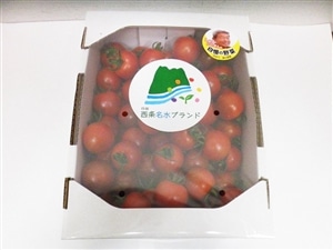 中玉トマト（フルティカ） 約1.1kg: JA全農えひめ直販ショップ
