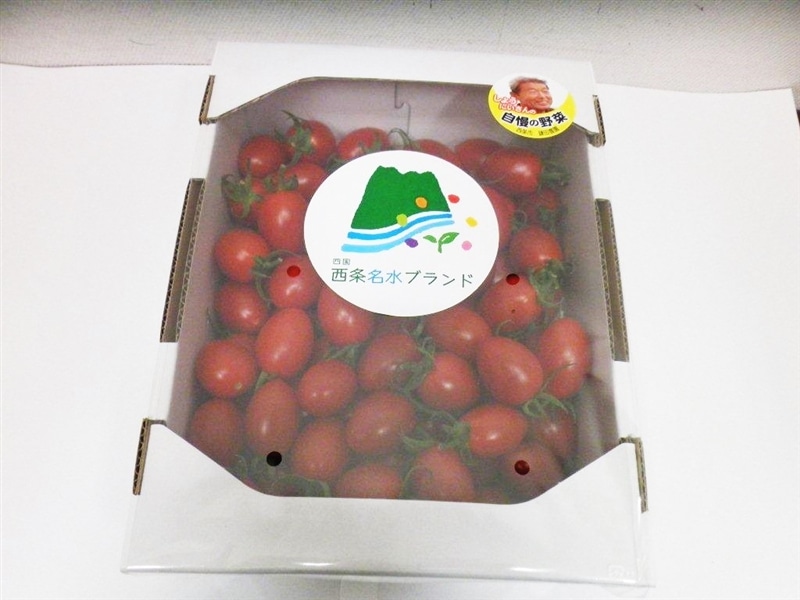ミニトマト アイコ 約1kg 周ちゃん広場: JA全農えひめ直販