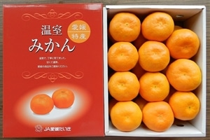 温室みかん」 約2kg 大洲市長浜産 期間・数量限定販売！！: JA全農
