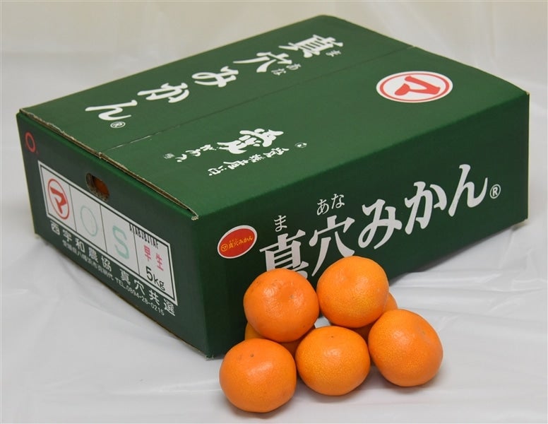 産地直送 通販 お取り寄せ 真穴 まあな みかん 約５ｋｇ ｓ ｌ Jaにしうわ真穴共選 11月25日頃から発送開始予定 ｊａ全農えひめ直販ショップ ｊａタウン