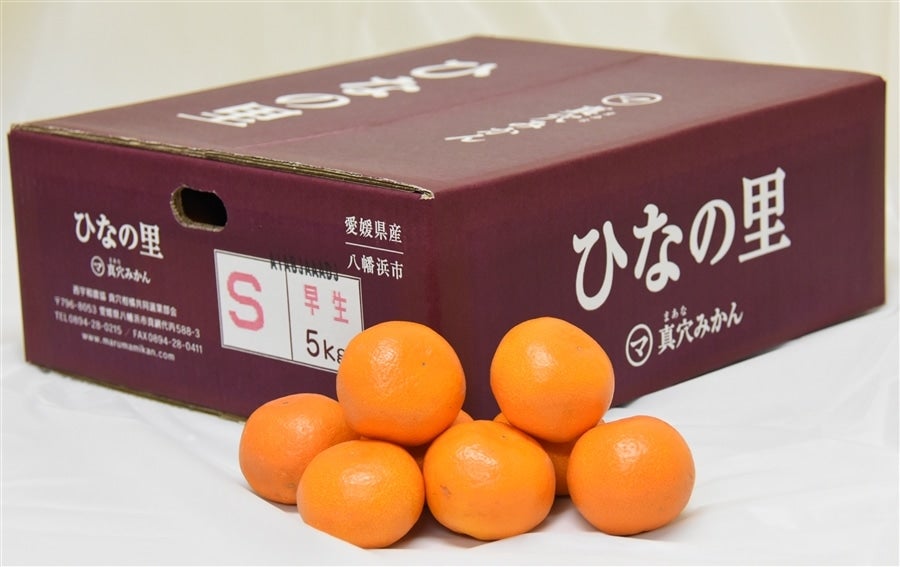 産地直送 通販 お取り寄せ「ひなの里」約５ｋｇ（特秀Ｓ～Ｌ） ☆ＪＡにしうわ真穴共選特秀品☆【発送期間限定】11月25日～12月2日の間に発送予定:  ＪＡ全農えひめ直販ショップ|ＪＡタウン