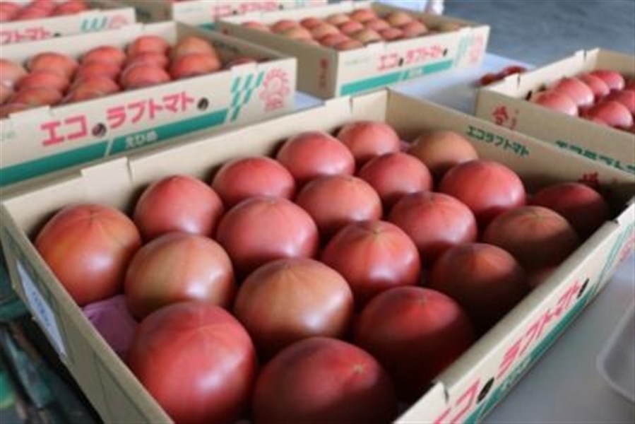 JA愛媛たいき期間限定 「エコラブトマト」: JA全農えひめ直販