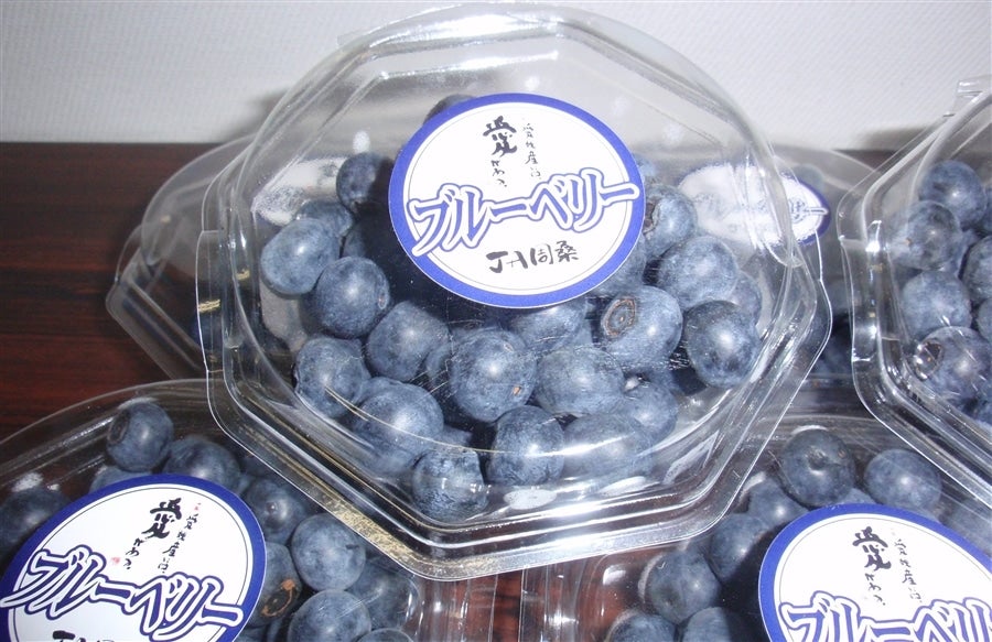 産地直送 通販 お取り寄せブルーベリー 約１ｋｇ １００ｇ １０パック ｊａ周桑 クール冷蔵 ｊａ全農えひめ直販ショップ ｊａタウン