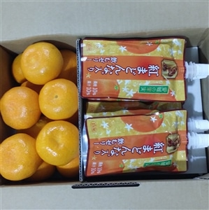 温室みかん＆紅まどんな入り飲むゼリーセット: JA全農えひめ直販