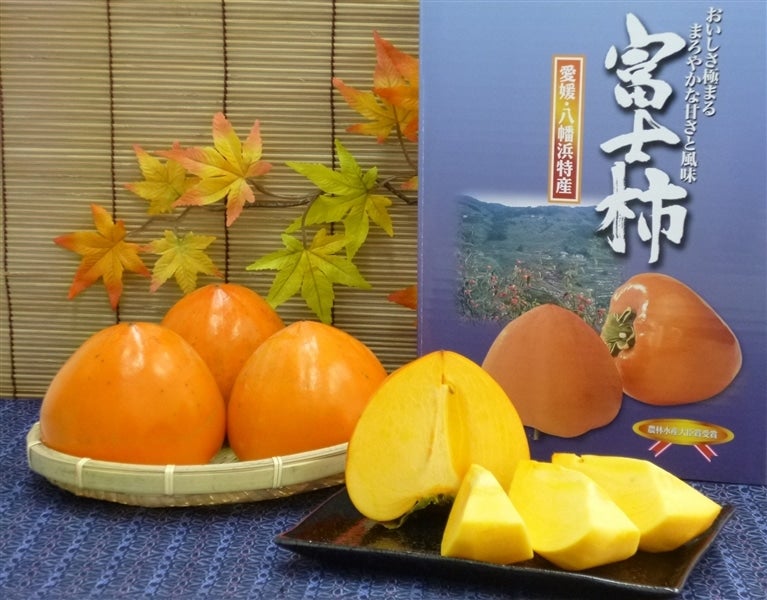 産地直送 通販 お取り寄せ富士山のような形 富士柿 ３ｌ６玉または４ｌ５玉 ｊａにしうわ ｊａ全農えひめ直販ショップ ｊａタウン