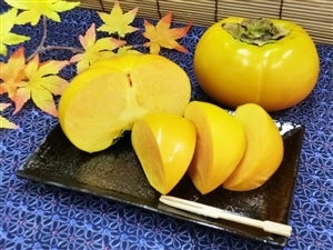 新品種】 太天柿 約4kg: JA全農えひめ直販ショップ|【JAタウン